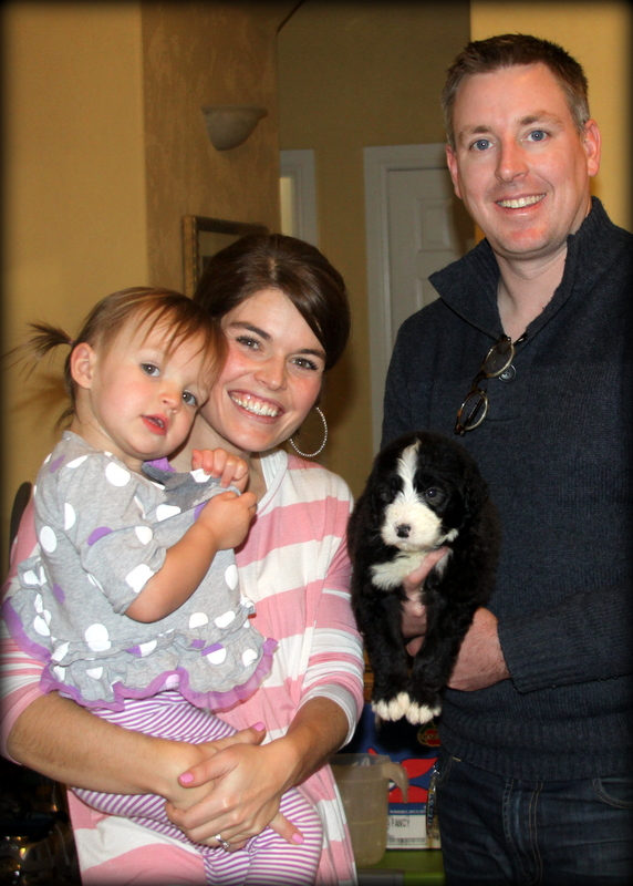 Family reaching out to inquire about sheepadoodle puppy reservation