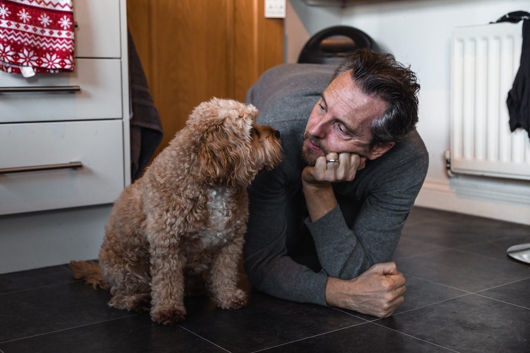 Person gently interacting with a curly-coated puppy on the floor
