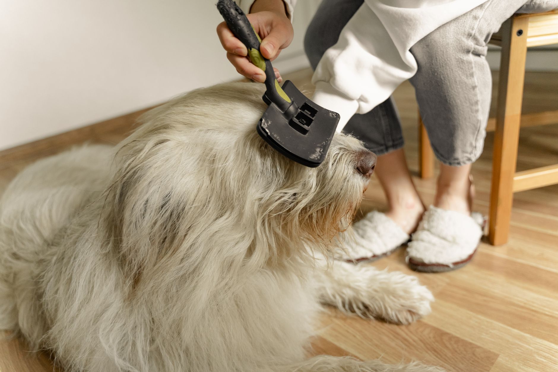 Person brushing out a dog's thick coat with a slicker brush