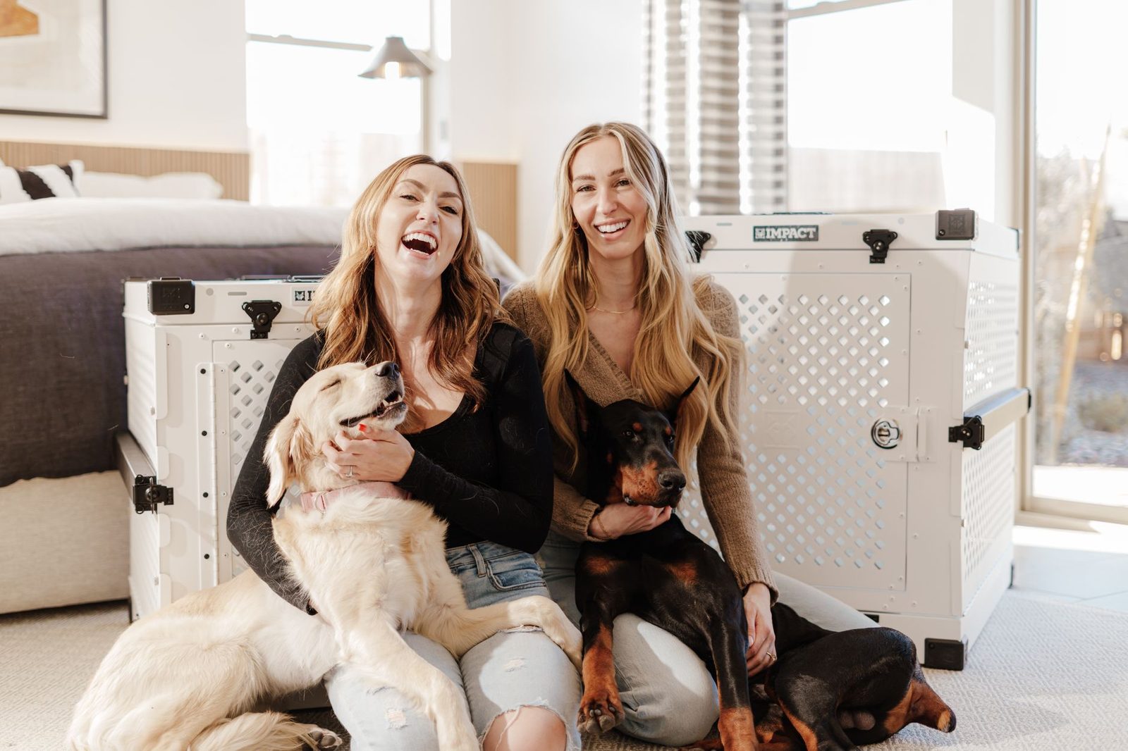 A crate set up in a comfortable living space with dogs nearby