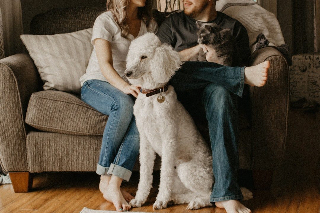 A family at home with their curly-coated dog