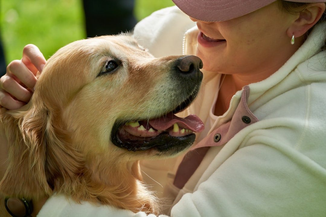 Dog owner checking a dog's gums and looking closely at its face outdoors