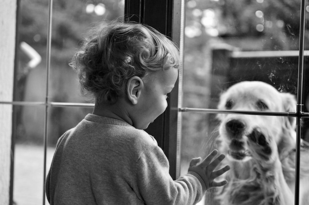 Toddler looking through a glass door at a dog on the other side