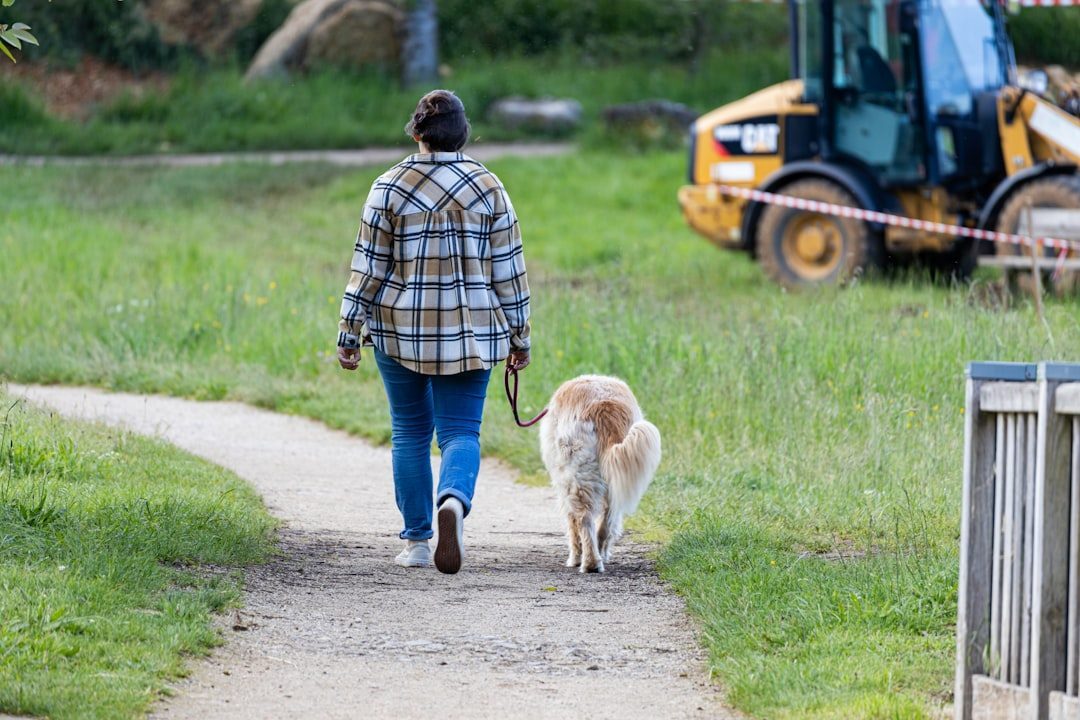 Volunteer walking a shaggy adult rescue dog at a shelter