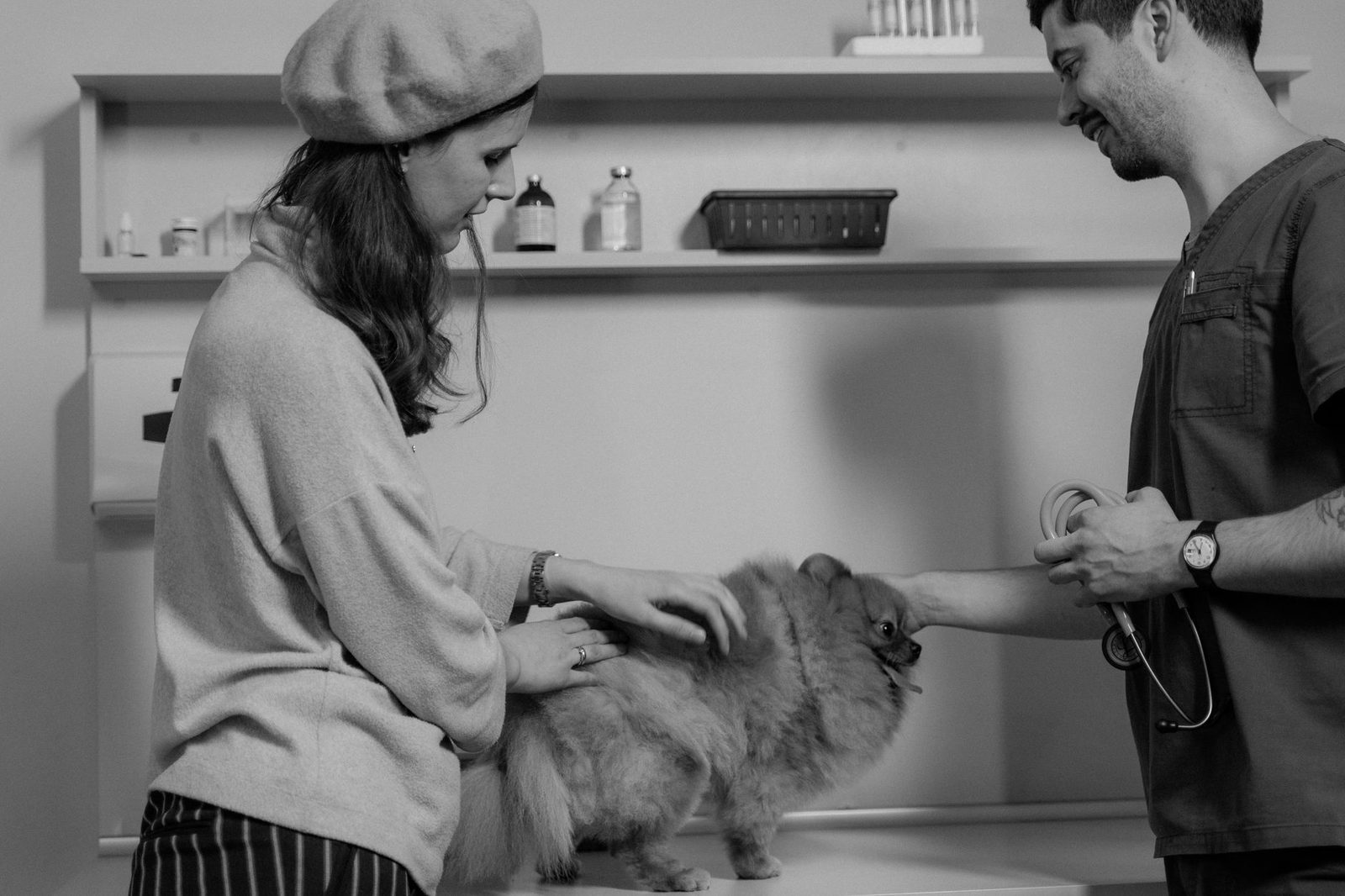 Veterinarian discussing paperwork and next steps with a dog owner